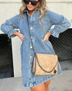 Idony | Women's Casual Button-Down Long Sleeve Mini Shirt Dress